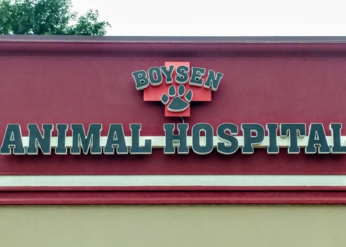 Boysen Animal Hospital with logo top
